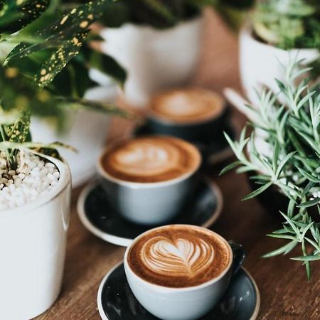 Ganze Ferienwohnung 5 Km Von Erfurt, Mit Kaffeevollautomat, Tv, Wlan, Boxspringbett, Schlafsofa Und Einkaufsmoeglichkeiten, Sehr Gute Anbindung Zur A71 Und A4, Kostenloser Oeff Parkplatz Fuer Pkw Und Transporter Elxleben 외부 사진