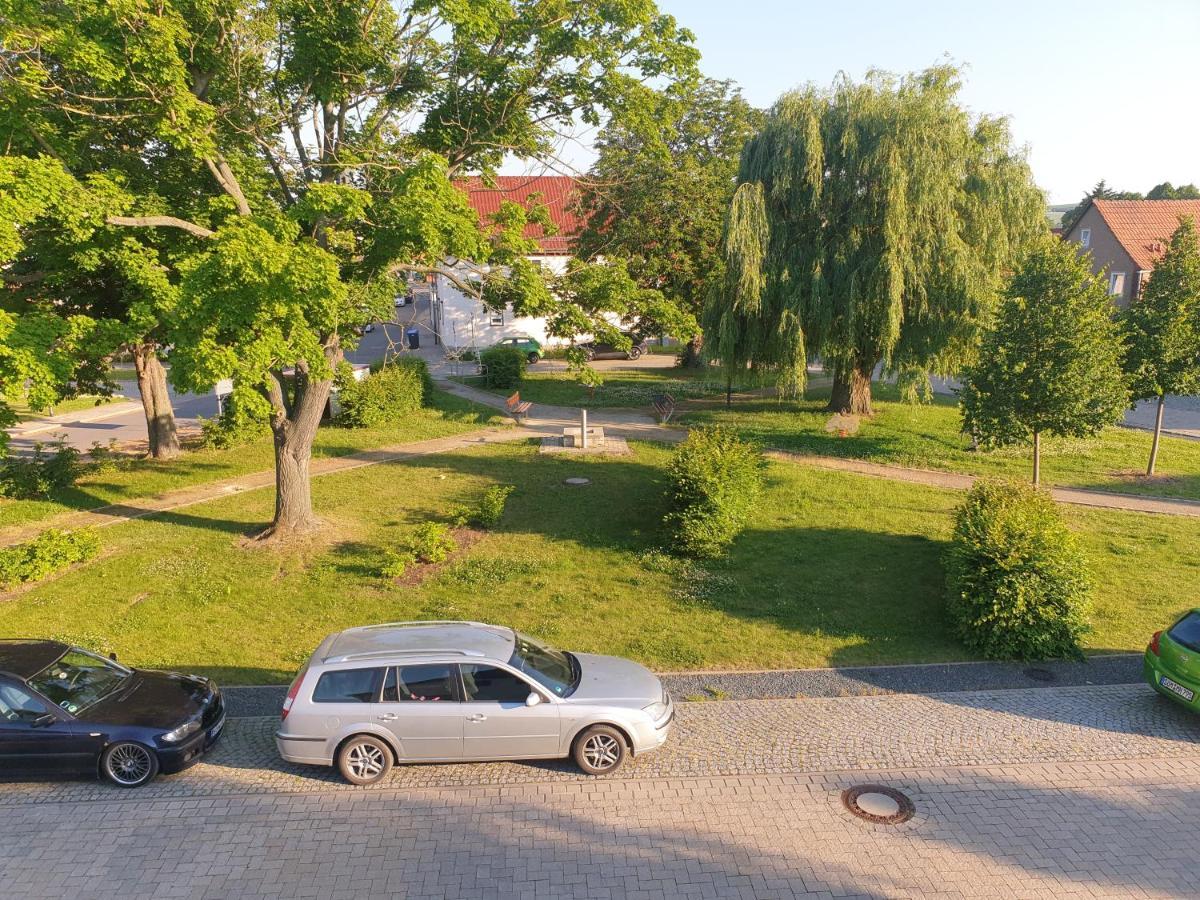 Ganze Ferienwohnung 5 Km Von Erfurt, Mit Kaffeevollautomat, Tv, Wlan, Boxspringbett, Schlafsofa Und Einkaufsmoeglichkeiten, Sehr Gute Anbindung Zur A71 Und A4, Kostenloser Oeff Parkplatz Fuer Pkw Und Transporter Elxleben 외부 사진